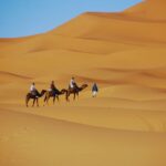 8-Day Moroccan Desert Tour from Casablanca