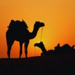 5 Days Tour from Fes to Marrakech